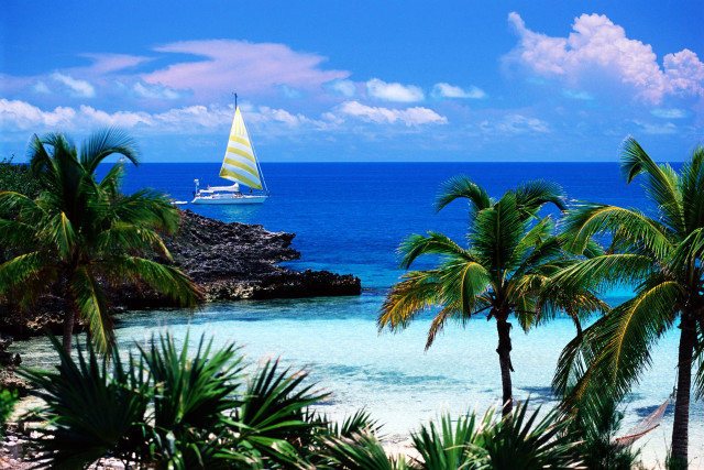 Sailboat ocean palm trees rocky free wallpaper - medium preview image