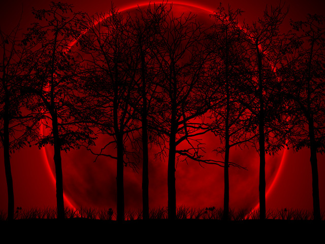 Red moon trees dark night #2 free wallpaper - medium preview image