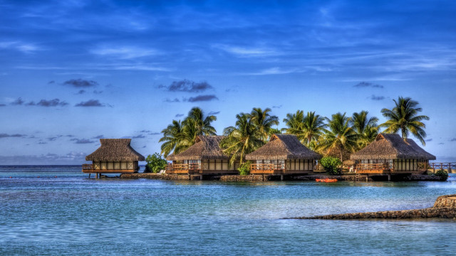 Huts beach ocean palm trees free wallpaper - medium preview image