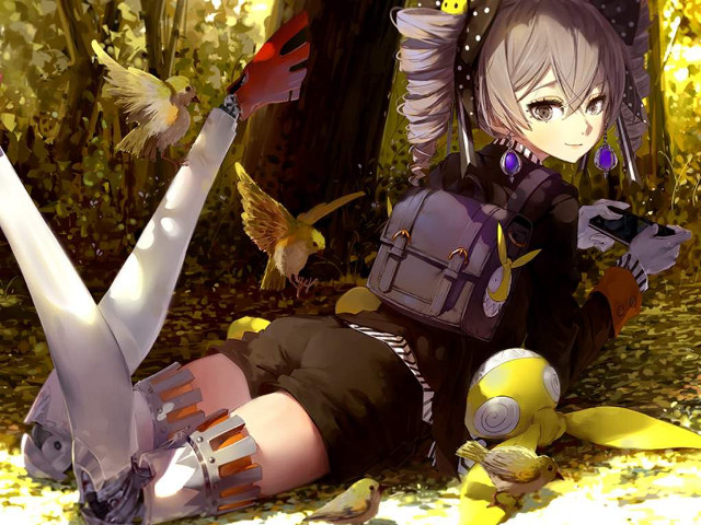 Woman laying ground backpack bird free wallpaper - medium preview image