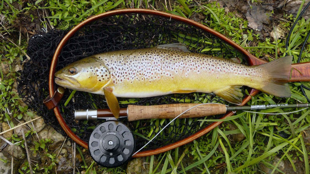 Hooked fish fishing rod reel free wallpaper - medium preview image