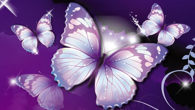 Purple background butterflies flying star #3 free wallpaper - medium preview image