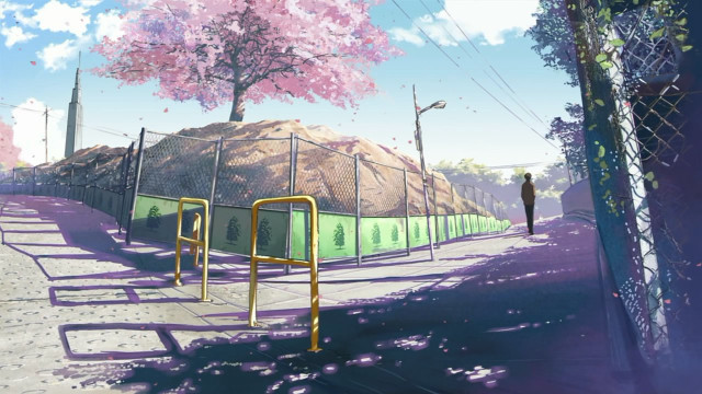 Man sidewalk fence tree pink free wallpaper - medium preview image