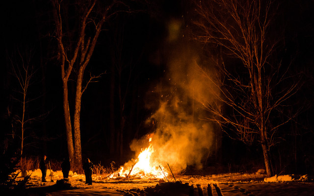 Fire forest night trees isolation free wallpaper - medium preview image