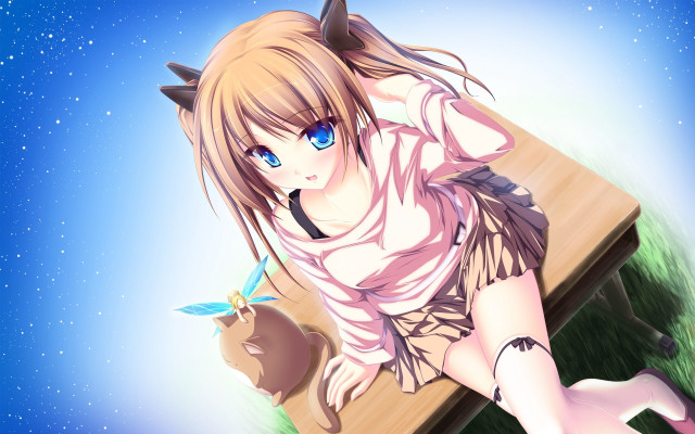 Girl cat ears bench teddy free wallpaper - medium preview image