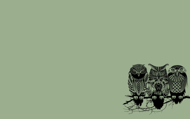 Three owls branch green background free wallpaper - medium preview image