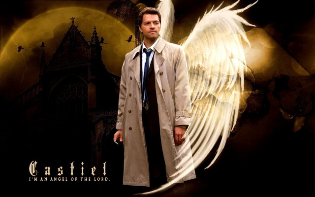 Man trench coat tie wings free wallpaper - medium preview image