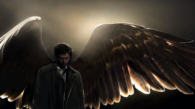 Man coat wings dark background free wallpaper - medium preview image