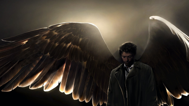 Man large wing dark background free wallpaper - medium preview image