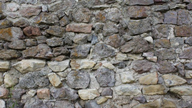 Stone wall clock green plant free wallpaper - medium preview image