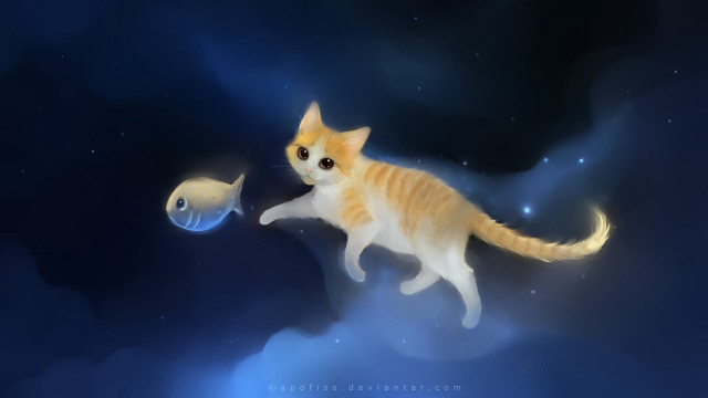 Cat flying fish mouth air free wallpaper - medium preview image