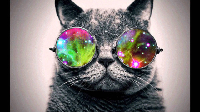Cat glasses galaxy colorful pattern free wallpaper - medium preview image