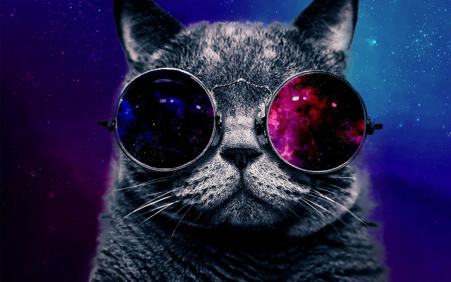 Cat sunglasses space face purple free wallpaper - medium preview image