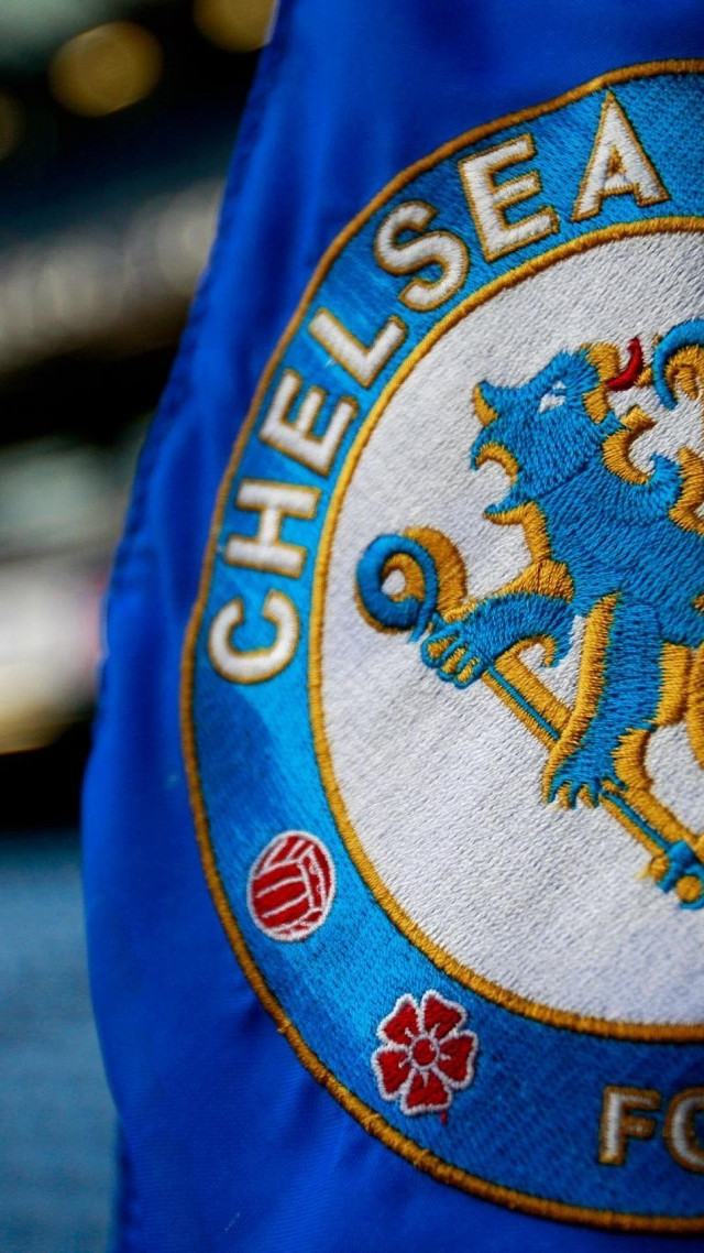 Blue jacket crest flower close free wallpaper - medium preview image