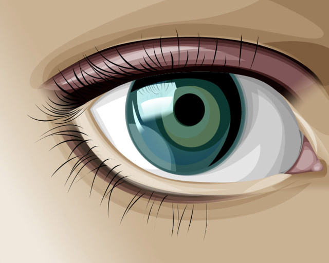 Green iris brown eyebrows black free wallpaper - medium preview image