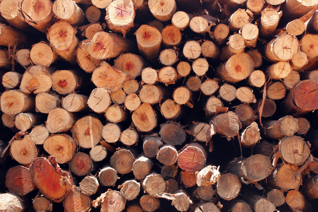 Cut logs grass dirt sky free wallpaper - medium preview image