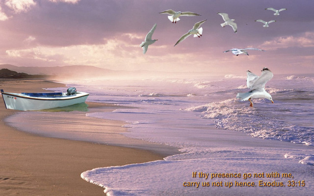 Boat beach seagulls sunset cloudy free wallpaper - medium preview image
