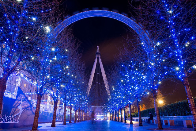 Street trees lights night skyline free wallpaper - medium preview image