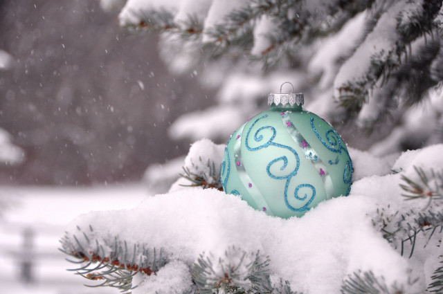 Blue ornament pine tree snow free wallpaper - medium preview image