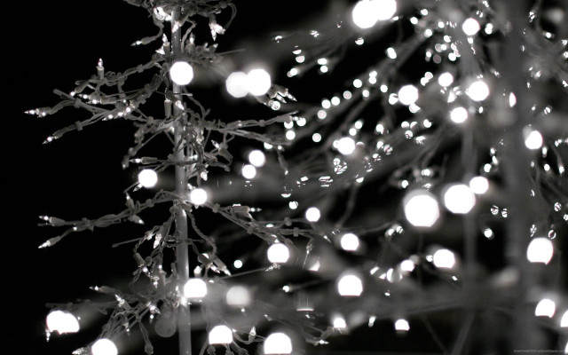 Christmas tree white lights black free wallpaper - medium preview image