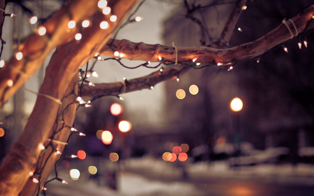Tree lights snow night city free wallpaper - medium preview image