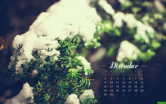 Calendar tree branch snow snowflakes free wallpaper - medium preview image