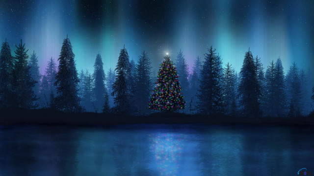 Christmas tree night lake reflection #2 free wallpaper - medium preview image