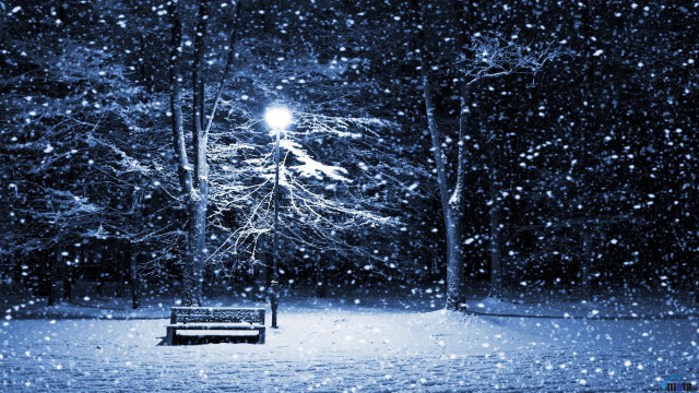 Snowy park night streetlight magic free wallpaper - medium preview image