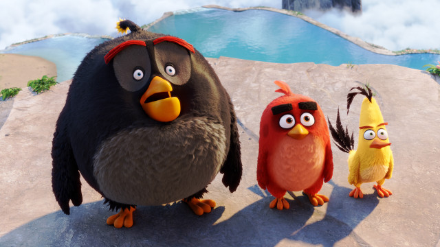 Angry birds group rock pool free wallpaper - medium preview image