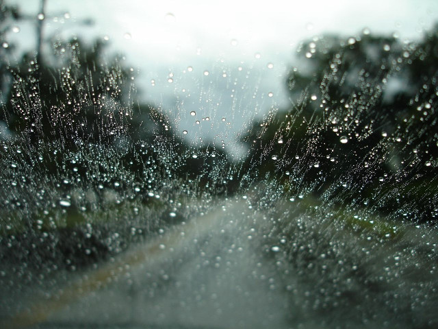 Rain covered windshield trees street free wallpaper - medium preview image