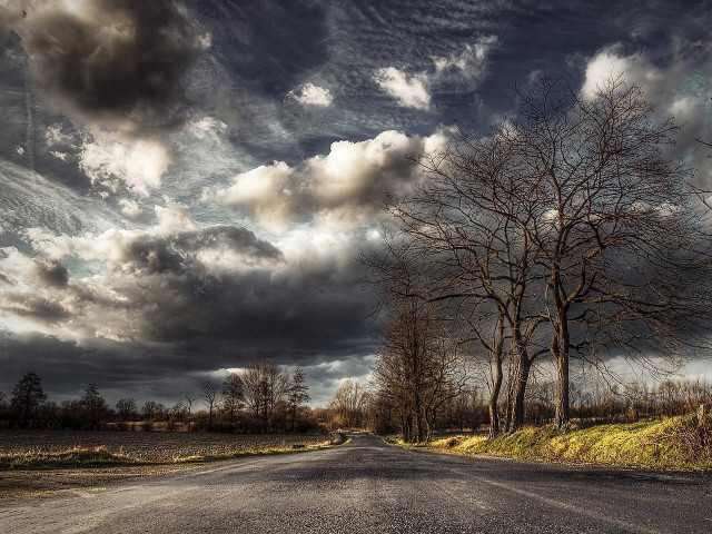 Road tree cloudy sky field free wallpaper - medium preview image