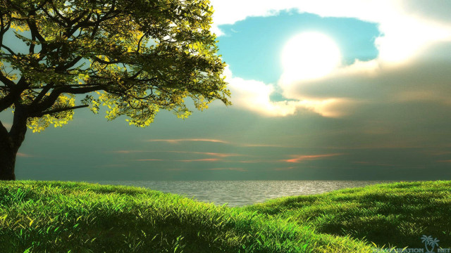 Tree grassy hill lake sun free wallpaper - medium preview image