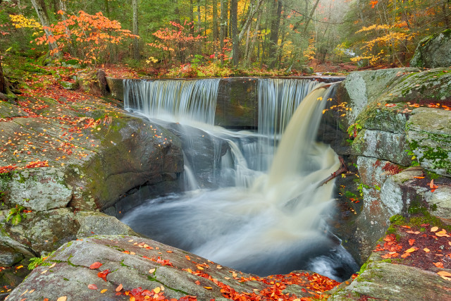 Waterfall forest fall leaves rocks free wallpaper - medium preview image