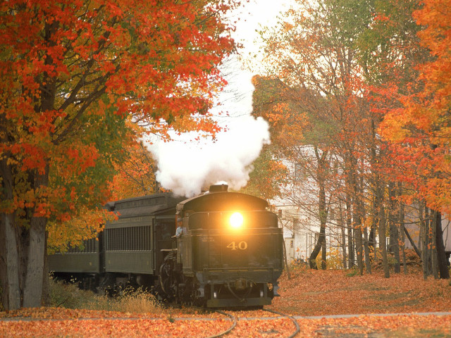 Train forest autumn leaves bright free wallpaper - medium preview image
