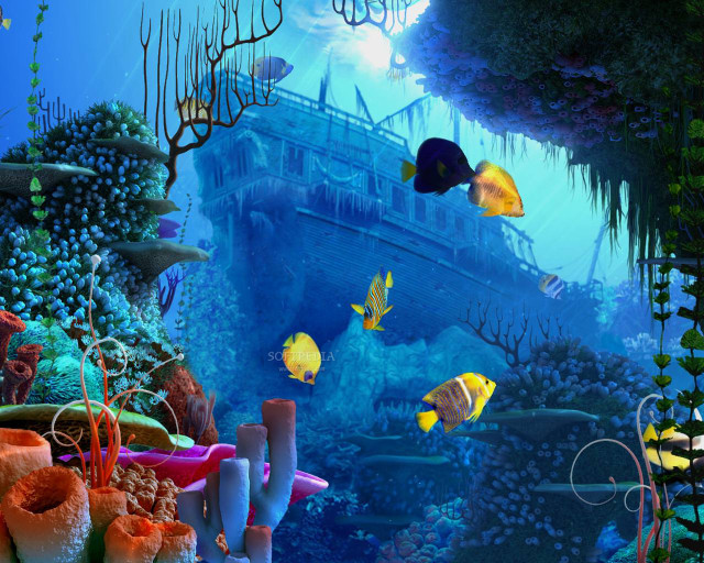 Underwater scene ship fish swimming free wallpaper - medium preview image