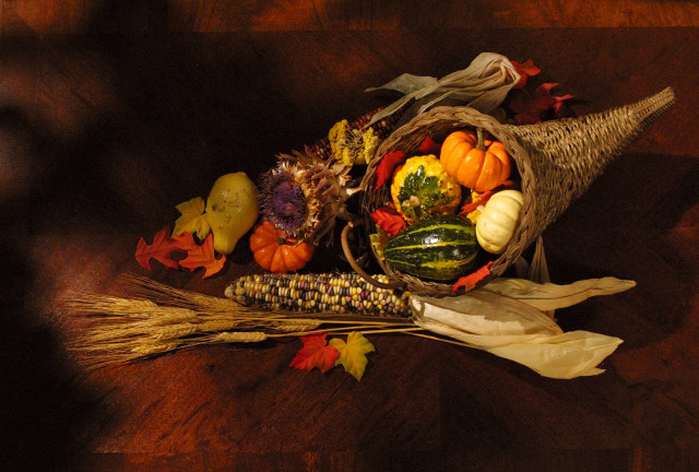Cornucopia arrangement pumpkins autumn harvest free wallpaper - medium preview image