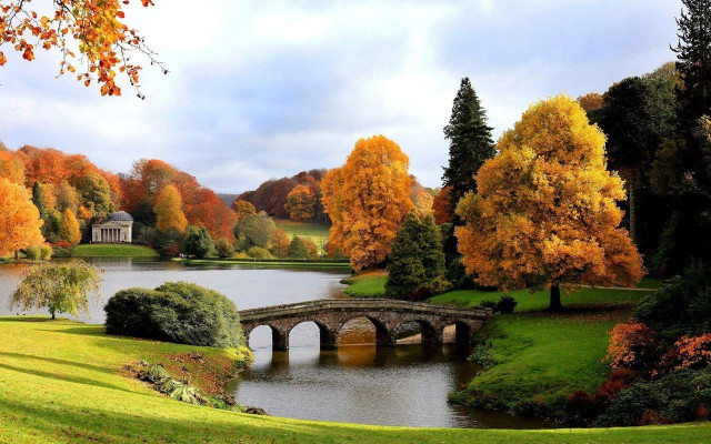 Bridge pond trees orange leaves free wallpaper - medium preview image