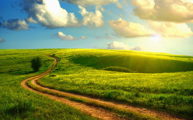 Dirt road green field cloudy #11 free wallpaper - medium preview image