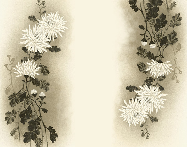 Drawing flowers wall white background free wallpaper - medium preview image