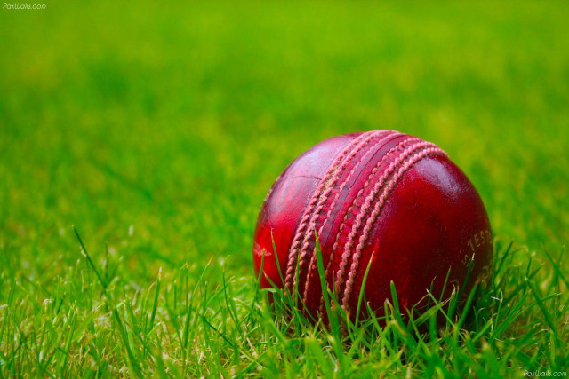 Red cricket ball grass green free wallpaper - medium preview image