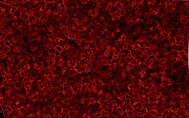 Red black white borders generative free wallpaper - medium preview image