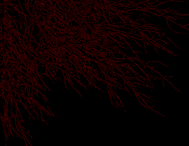 Black red branches autumn forest free wallpaper - medium preview image
