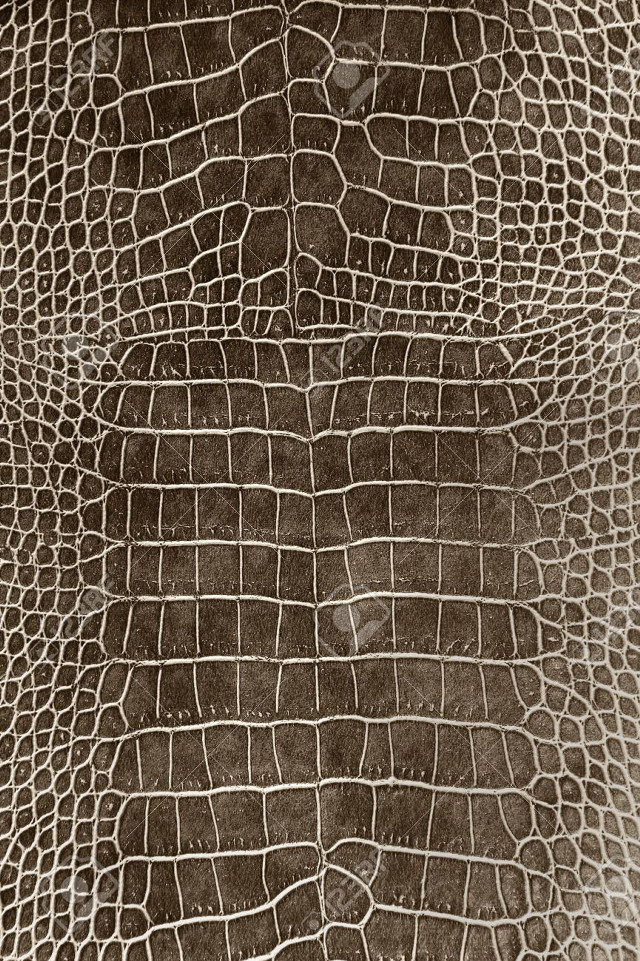 Crocodile skin pattern wallpaper closeup free wallpaper - medium preview image