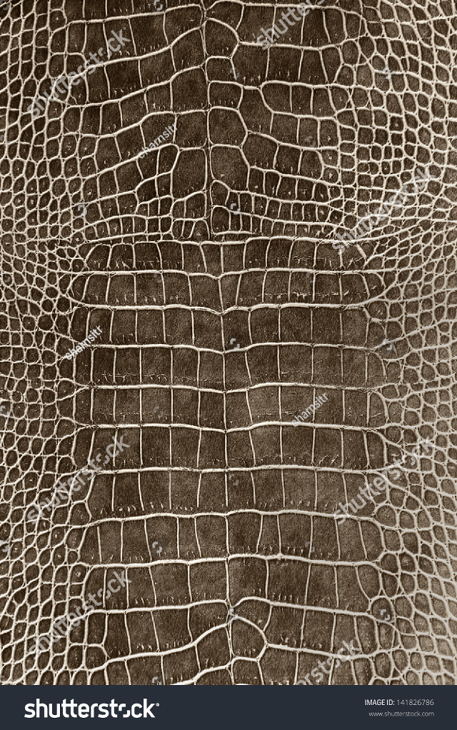 Crocodile skin texture brown background free wallpaper - medium preview image