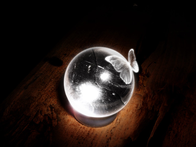 Glass ball white bird table free wallpaper - medium preview image