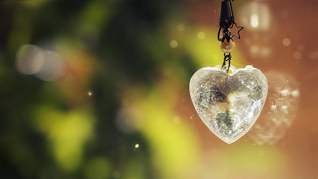 Heart shaped glass tree raindrops free wallpaper - medium preview image