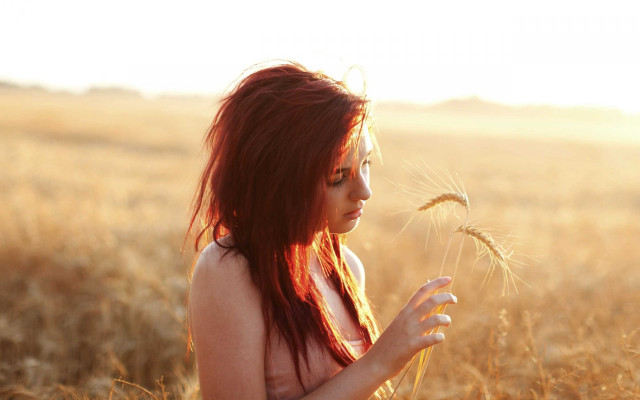 Woman field dandelion wind hands free wallpaper - medium preview image