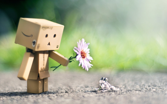 Toy flower frog road grass free wallpaper - medium preview image
