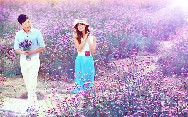 Flower field hanami impressionist spring free wallpaper - medium preview image
