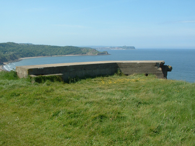 Bench hillside ocean cow grass free wallpaper - medium preview image